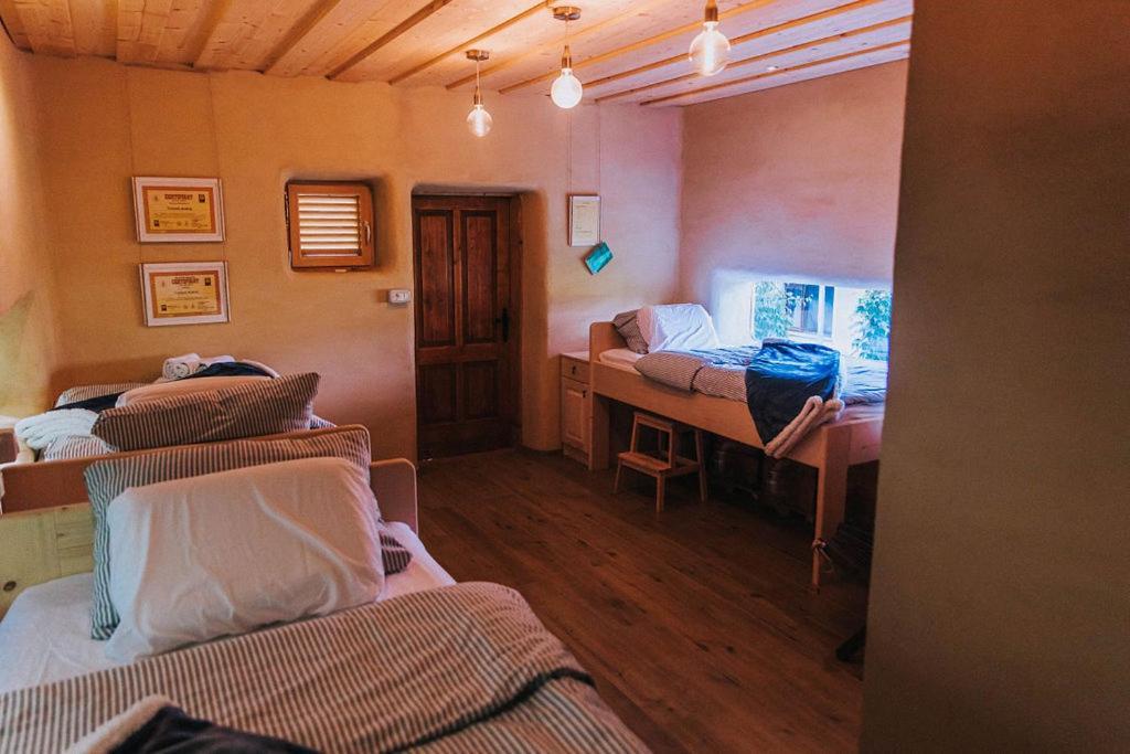 Sleeping With Bees - Tourist Farm Muha Apartment Grosuplje Exterior photo