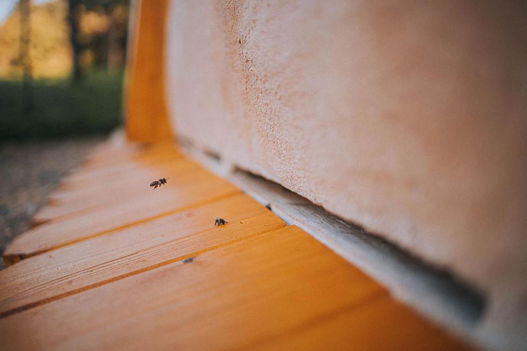 Sleeping With Bees - Tourist Farm Muha Apartment Grosuplje Exterior photo